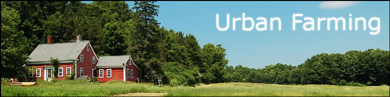 Urban Farming Banner